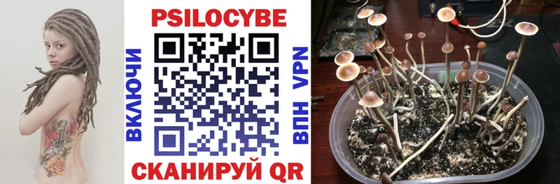 Галлюциногенные грибы Psilocybine cubensis  darknet формула  Жирновск 